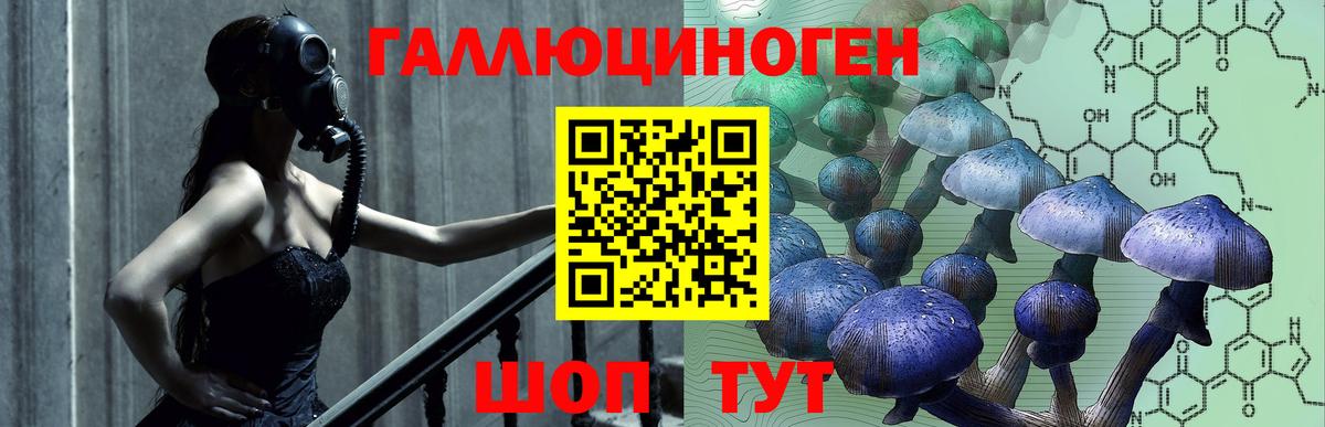 Псилоцибиновые грибы Cubensis Мурино