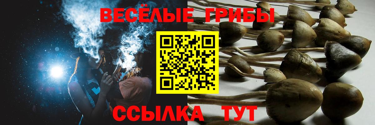 Мурино  Псилоцибиновые грибы ЛСД  Вход с VPN 